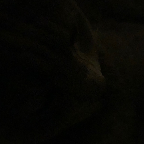 Meet your Posher, Amir - Picture 1 of 1